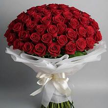 Букет 101 Красная роза Блэк Мэджик в Купянке