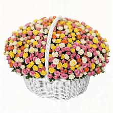 Премиум букет из: Розы в Купянке