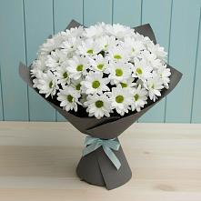 Букет цветов из:  Хризантемы #REPLACE_PRED# Купянке