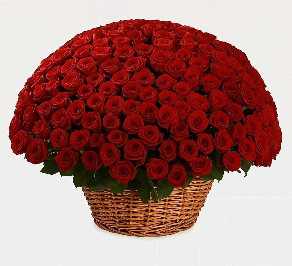 Премиум букет из: Розы в Купянке