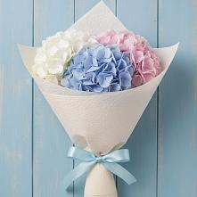 Букет цветов из:  Гортензия в Купянке
