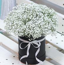 Цветочная композиция из Гипсофила в шляпной коробке в Купянке