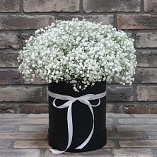 Цветочная композиция из Гипсофила в шляпной коробке в Купянке