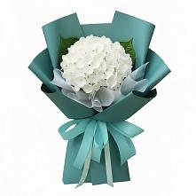 Букет цветов из:  Гортензия в Купянке
